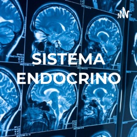 SISTEMA ENDOCRINO: TORMENTA HORMONAL ADOLESCENTE
