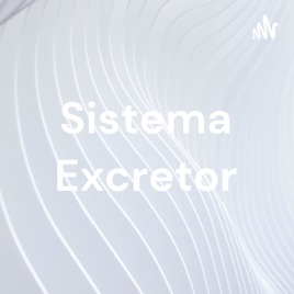 Sistema Excretor