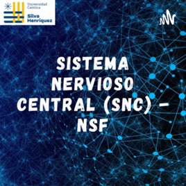 Sistema Nervioso Central (SNC) - NSF