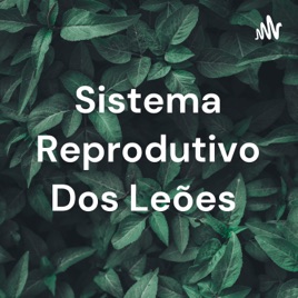 Sistema Reprodutivo Dos Leões