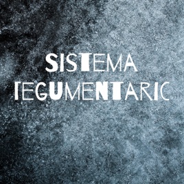 Sistema tegumentario.🙂