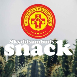 Skyddsombudssnack med arbetsmiljö som uppdrag