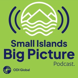 Small Islands Big Picture