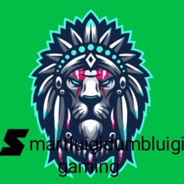 Smartluigidumbluigi Gaming