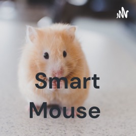 Smart Mouse