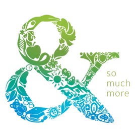 & so much more