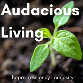 So What? Exploring Big Ideas and Why They Matter