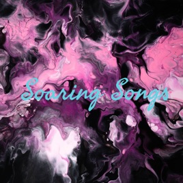 Soaring Songs