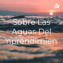 Sobre Las Aguas Del Emprendimiento