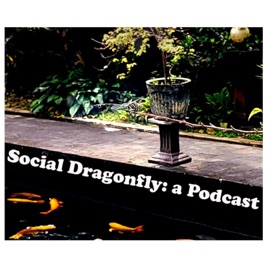 Social Dragonfly