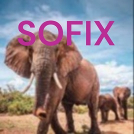 SOFIX