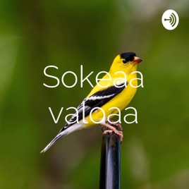 Sokeaa valoaa
