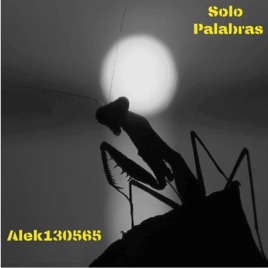 SOLO PALABRAS