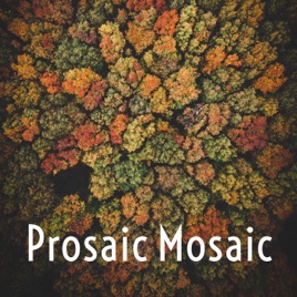 Prosaic Mosaic