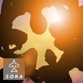 SORA Developers