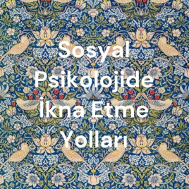 Sosyal Psikolojide İkna Etme Yolları