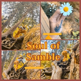 Soul of Samble