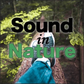 Sound in Nature