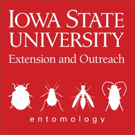 Soybean Pest Podcast