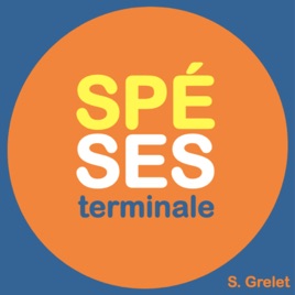 Spé SES terminale : un cours complet
