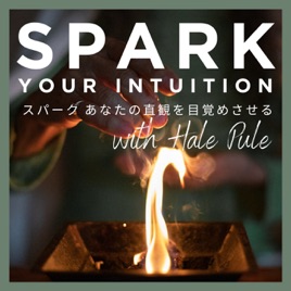 SPARK YOUR INTUITION: スパーク あなたの直観を目覚めさせる