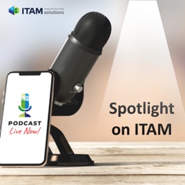 Spotlight on ITAM