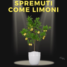 SPREMUTI COME LIMONI