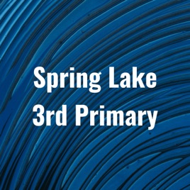 Spring Lake 3rd Primary