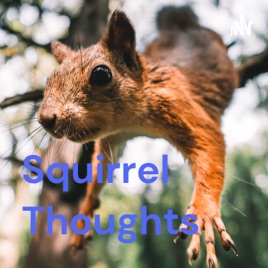 Squirrel Thoughts