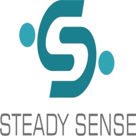 Steady Sense.БГ
