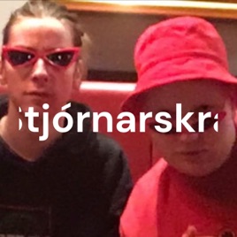 Stjórnarskrá