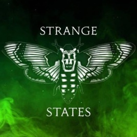 STRANGE STATES