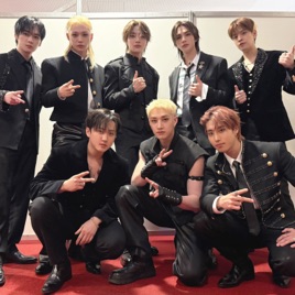 STRAY KIDS Kpop Boy Band Forever
