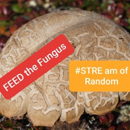 Stream of Random