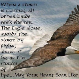 Strength in the Storms