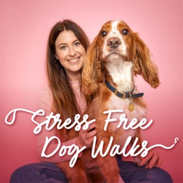 Stress Free Dog Walks