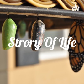 Strory Of Life