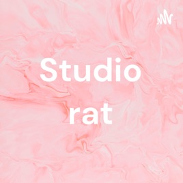 Studio rat