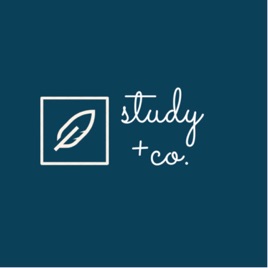 Study + Co.