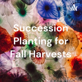 Succession Planting for Fall Harvests
