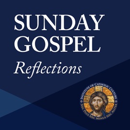 Sunday Gospel Reflections