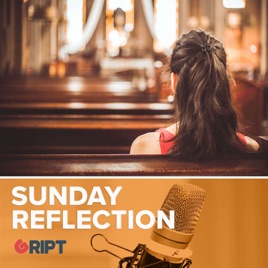 Sunday Reflection