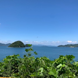 Suo Oshima News Delivery