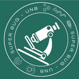 Superbug.UnB