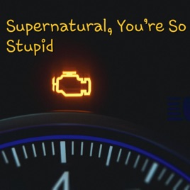 Supernatural, You're So Stupid