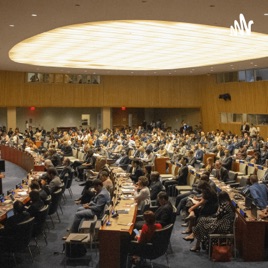 Sustainable Development Goals(SDGs)