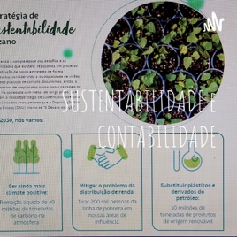 SUSTENTABILIDADE e CONTABILIDADE - SUZANO