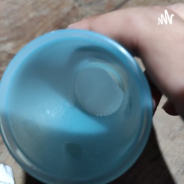 Susu Sapi
