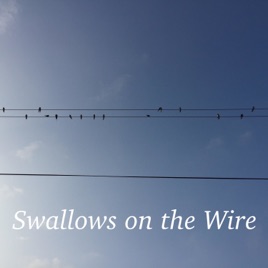 Swallows on the Wire