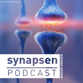 Synapsen